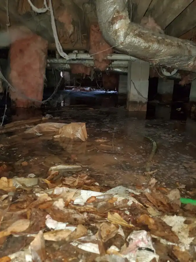 Crawl space flood assessment for Leak Detection & Repair in Bremen