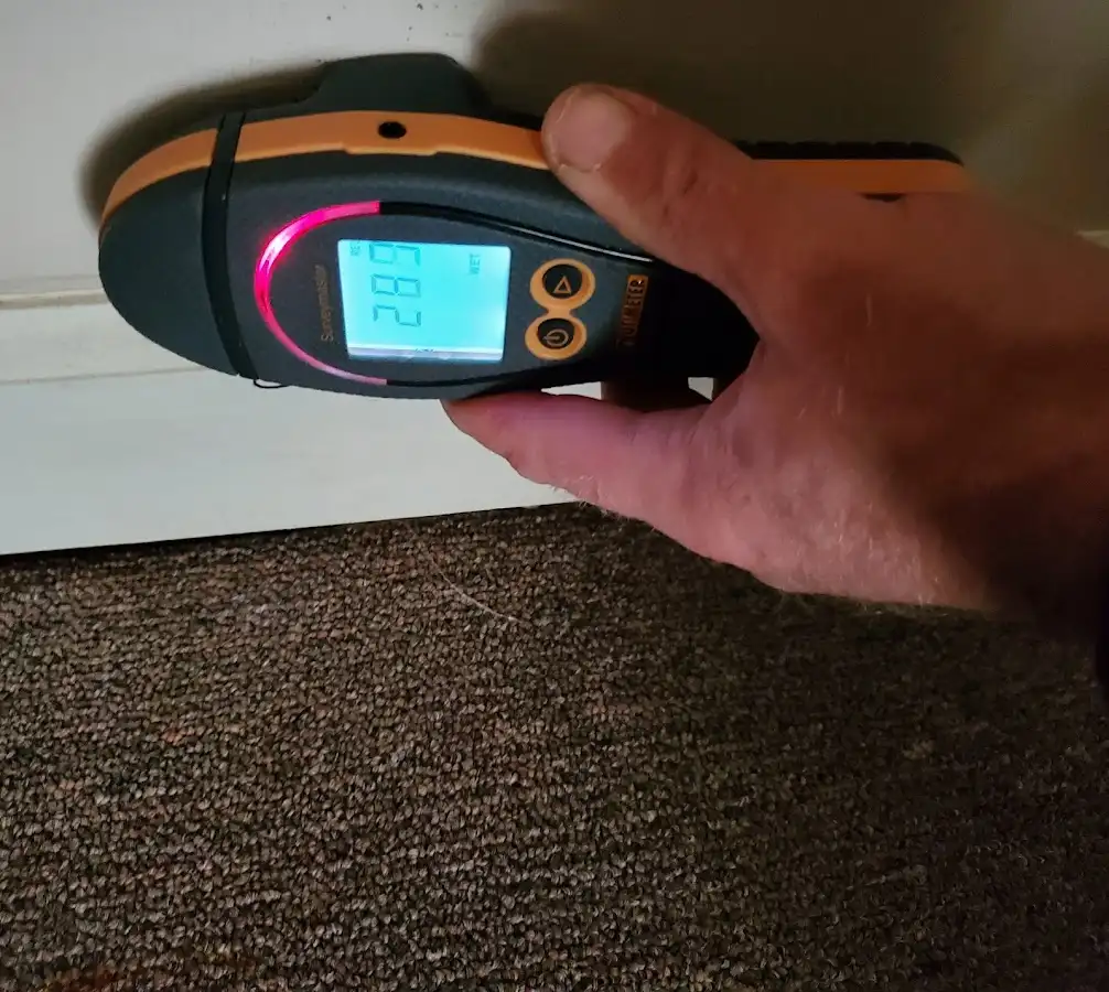 Moisture detection at baseboard during Mold Inspection & Testing in Bremen